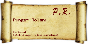 Punger Roland névjegykártya
